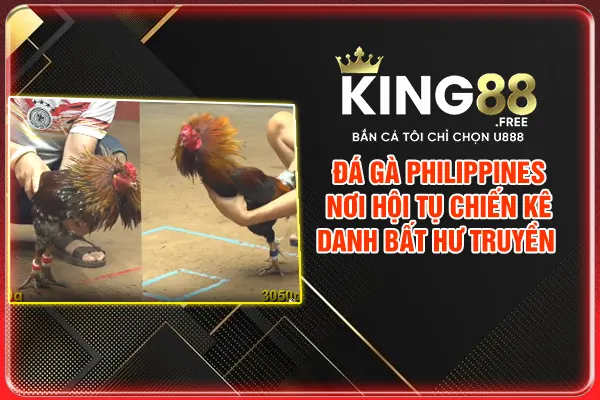Đá Gà Philippines - Nơi Hội Tụ Chiến Kê Danh Bất Hư Truyền