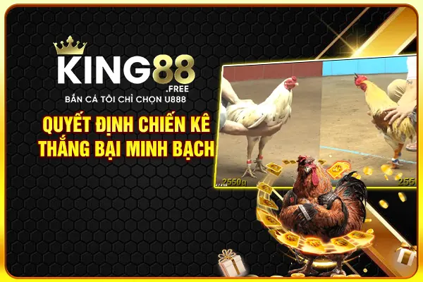 Quyết định chiến kê thắng bại minh bạch